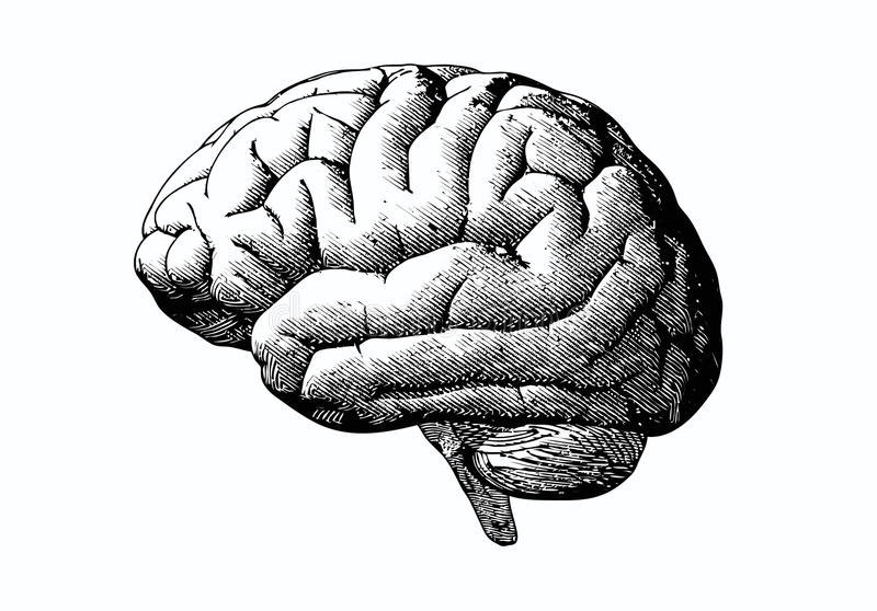 UMAP clustering in Python – poissonisfish